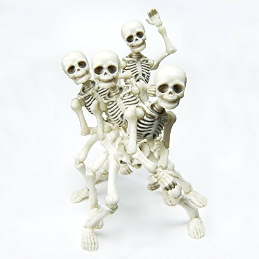 re-MENT Pose Skeleton フィギュアセット Amazon.com: Re-Ment Pose Skeleton Human 01 moveable 1/18